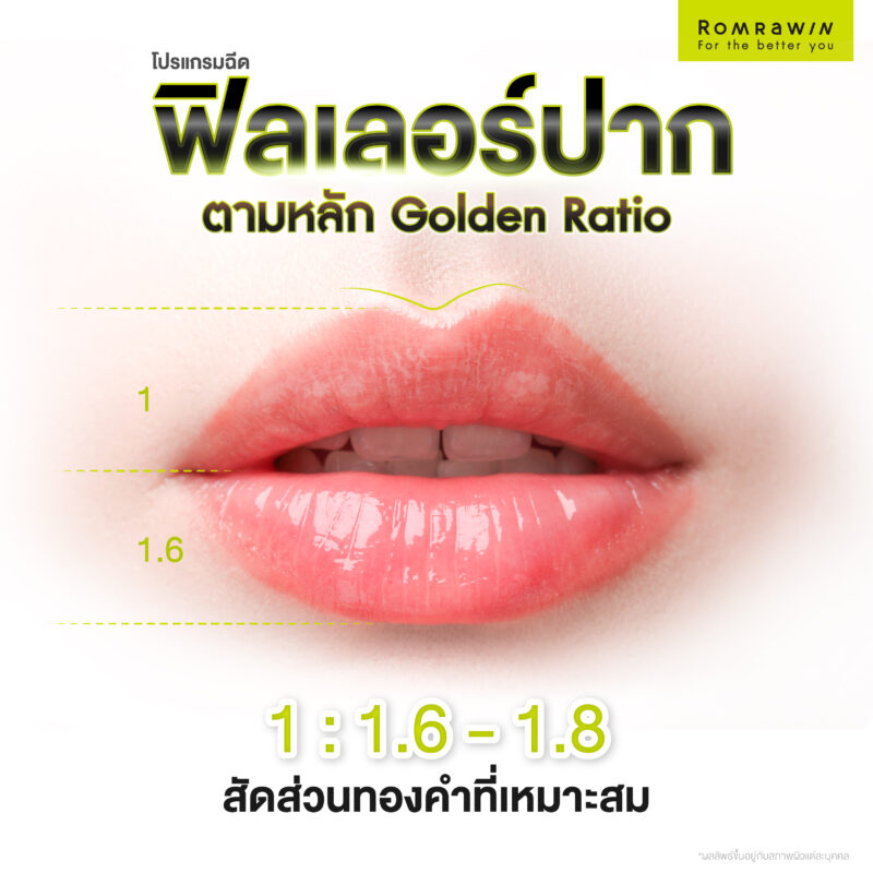 Golden Ratio ทรงปากสัดส่วนทองคำ